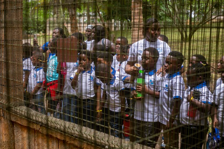 Learners on a school trip to the zoo